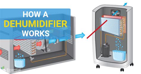 dehumidification in tagalog|Dehumidification: How It Works and Why It Matters .